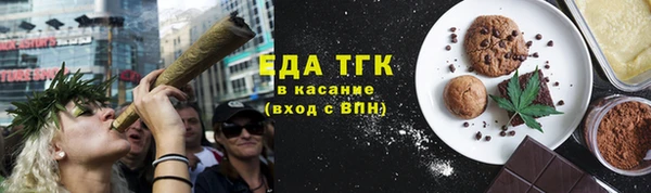 индика Горнозаводск