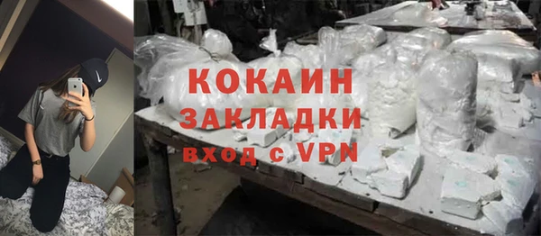 дживик Горняк