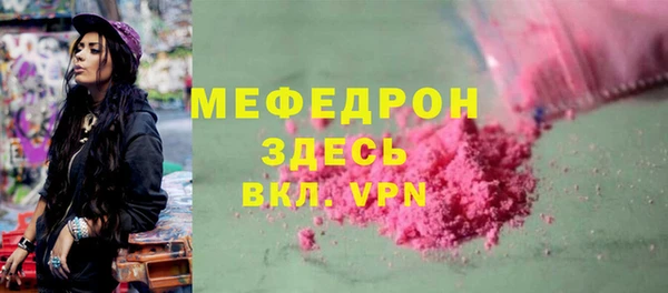индика Горнозаводск