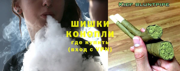индика Горнозаводск