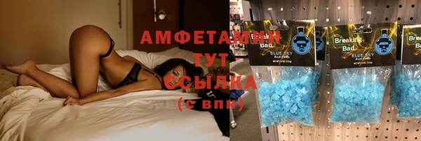 индика Горнозаводск