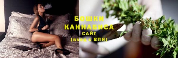 индика Горнозаводск