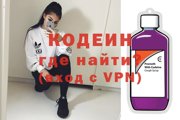 индика Горнозаводск