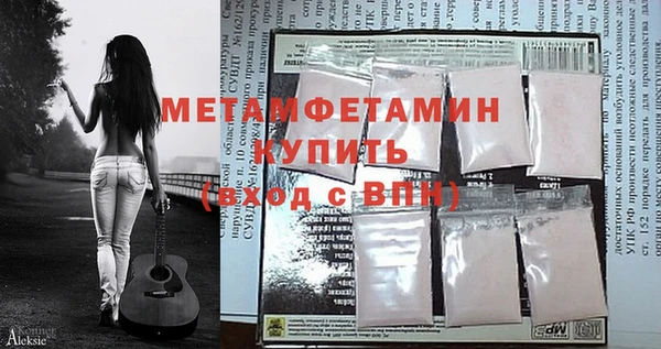 индика Горнозаводск