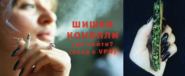 индика Горнозаводск