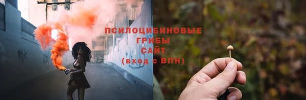 индика Горнозаводск