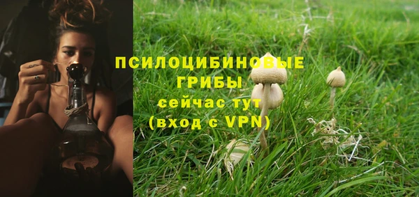 COCAINE Горно-Алтайск