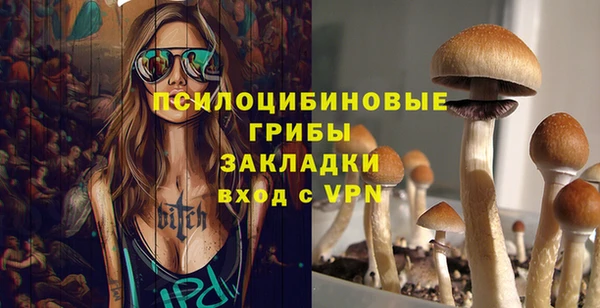 дживик Горняк