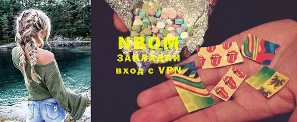 индика Горнозаводск