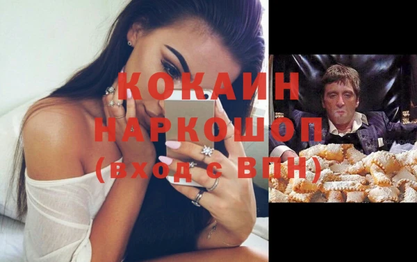 индика Горнозаводск