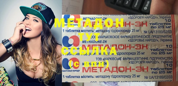 индика Горнозаводск