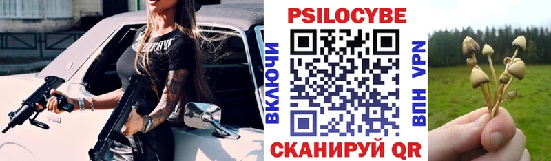 Купить закладки  Отрадное  Галлюциногенные грибы ЛСД 