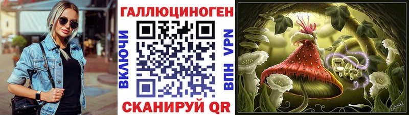 Галлюциногенные грибы Psilocybine cubensis Отрадное